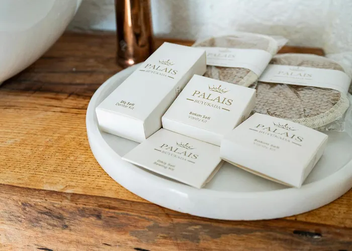 Palais Bueyuekada Hotel *