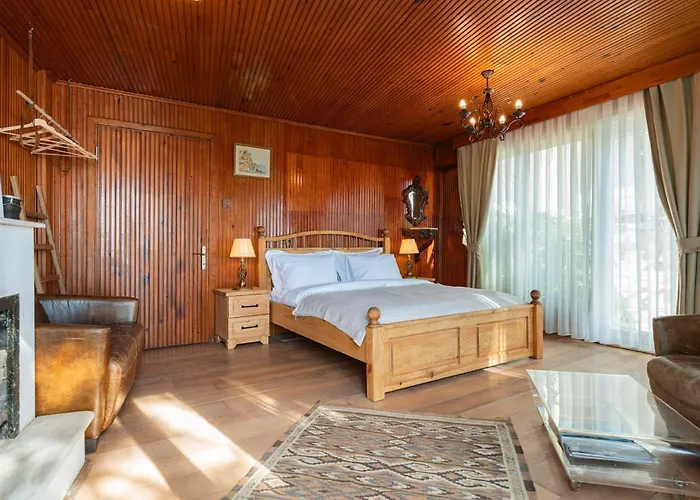 Hotel Palais Bueyuekada *